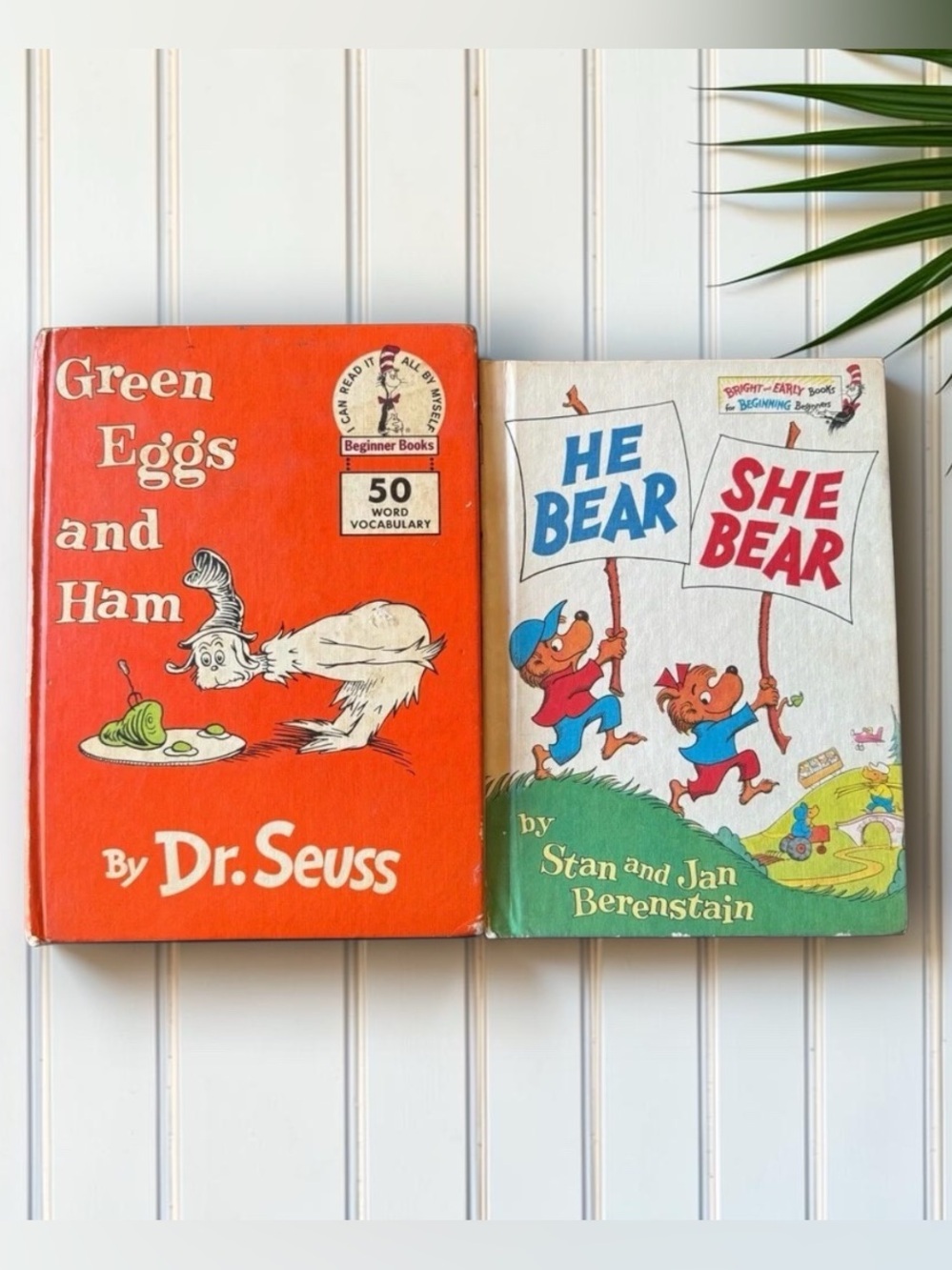 Vintage Children’s Book Lot Dr. Seuss Green Eggs and Ham + Berenstain Bears